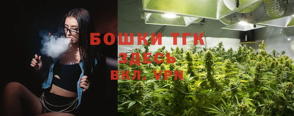 ПСИЛОЦИБИНОВЫЕ ГРИБЫ Алзамай