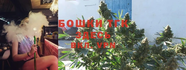 ПСИЛОЦИБИНОВЫЕ ГРИБЫ Алзамай